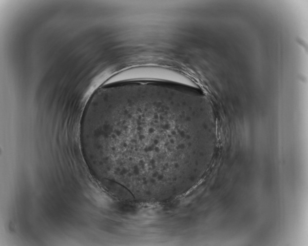 X0000095910099200801181404