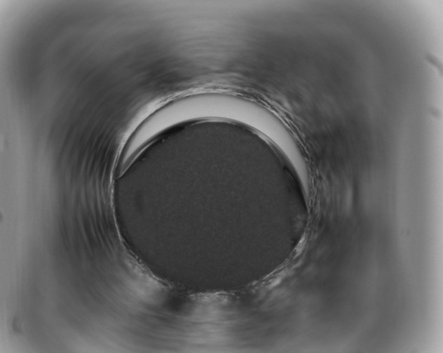 X0000095910100200801181404