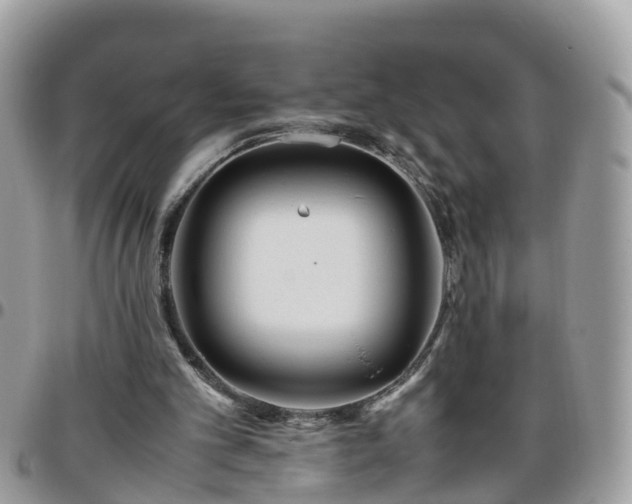 X0000095910101200801181404