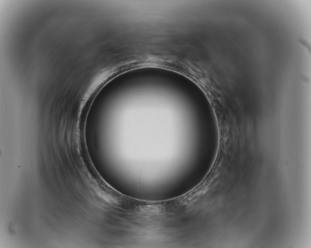 X0000095910102200801181404