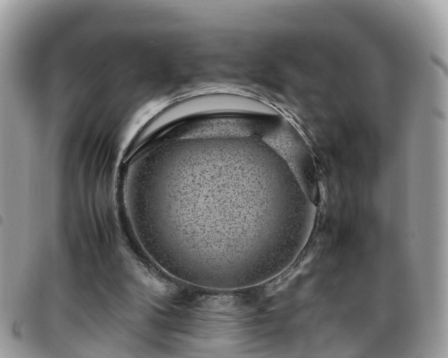 X0000095910104200801181404