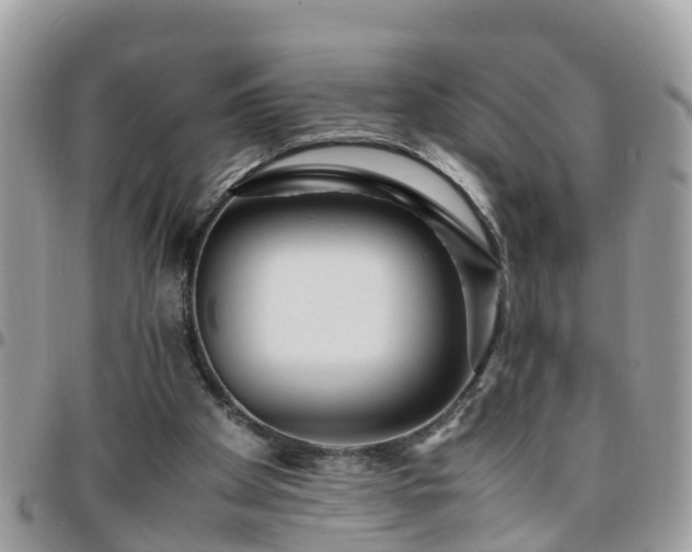 X0000095910105200801181404