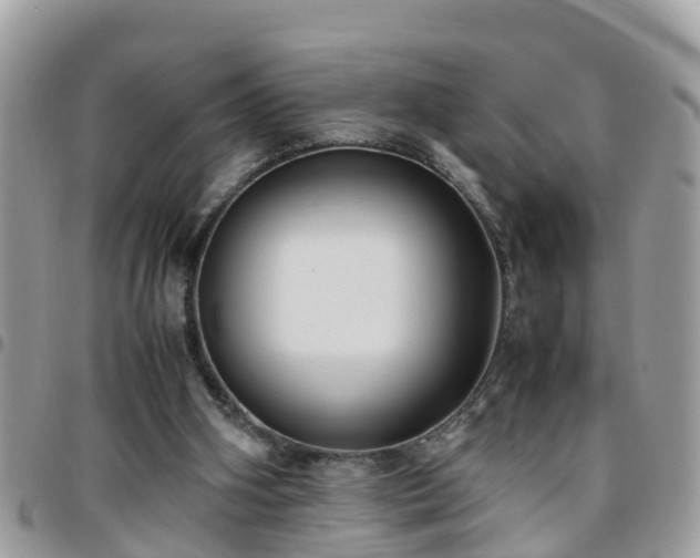 X0000095910106200801181404