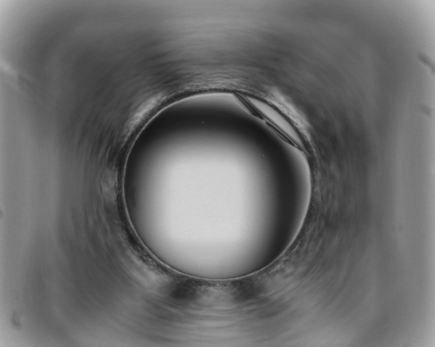 X0000095910107200801181404