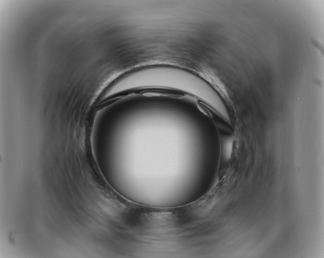 X0000095910108200801181404