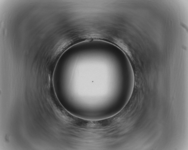 X0000095910109200801181404