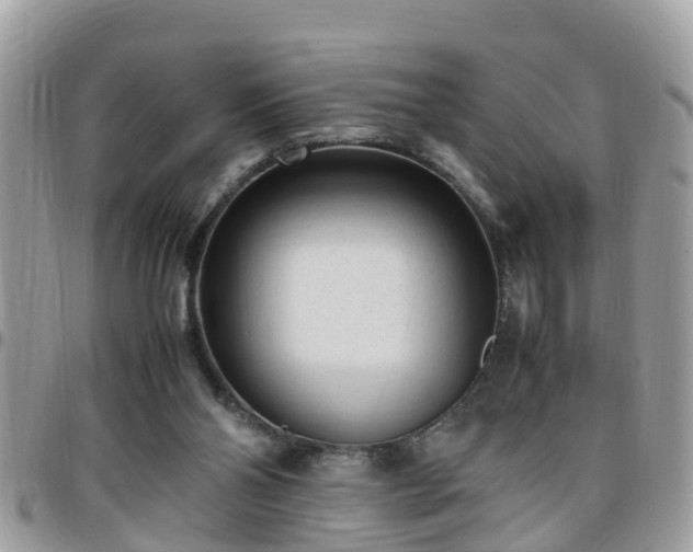 X0000095910110200801181404