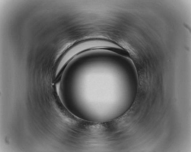 X0000095910112200801181404