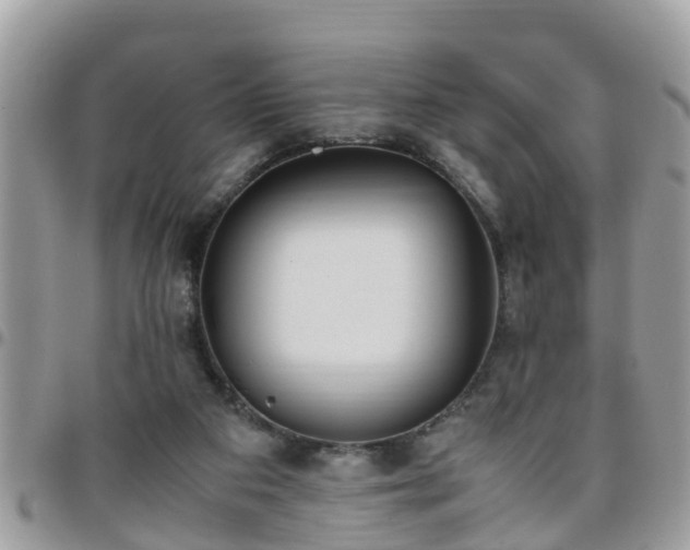 X0000095910113200801181404