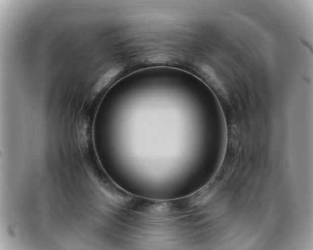 X0000095910116200801181404