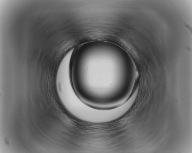 X0000095910117200801181404