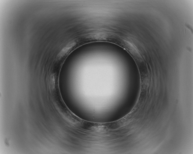 X0000095910120200801181404