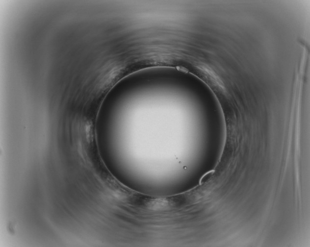 X0000095910123200801181404