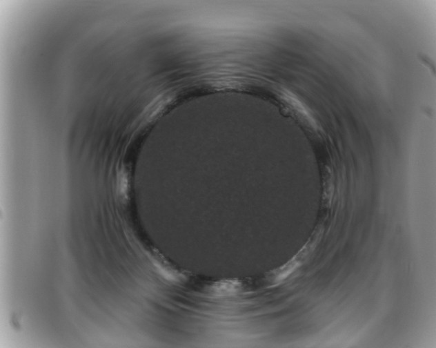 X0000095910124200801181404