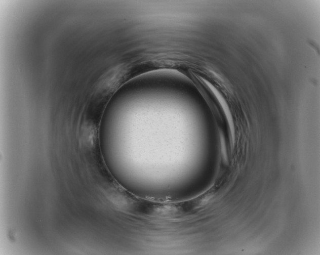 X0000095910125200801181404