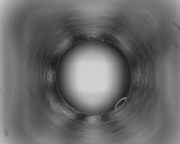 X0000095910126200801181404