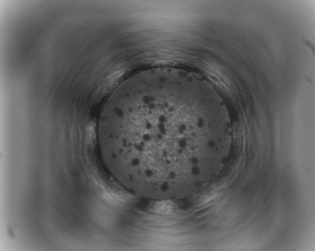 X0000095910127200801181404