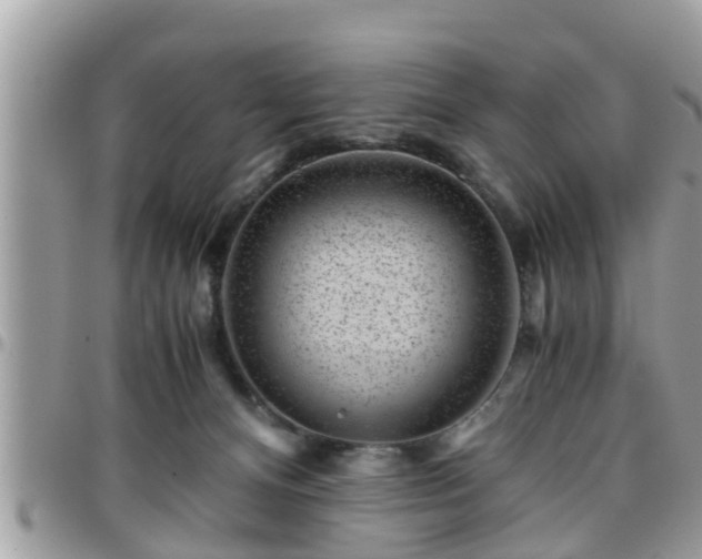 X0000095910128200801181404