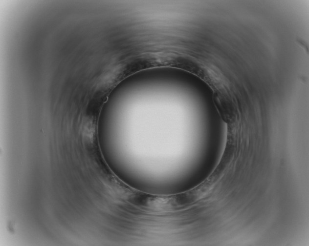 X0000095910129200801181404