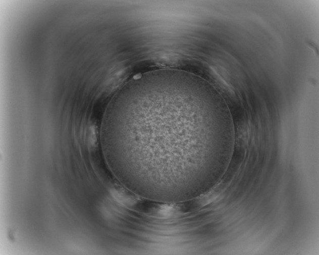 X0000095910130200801181404