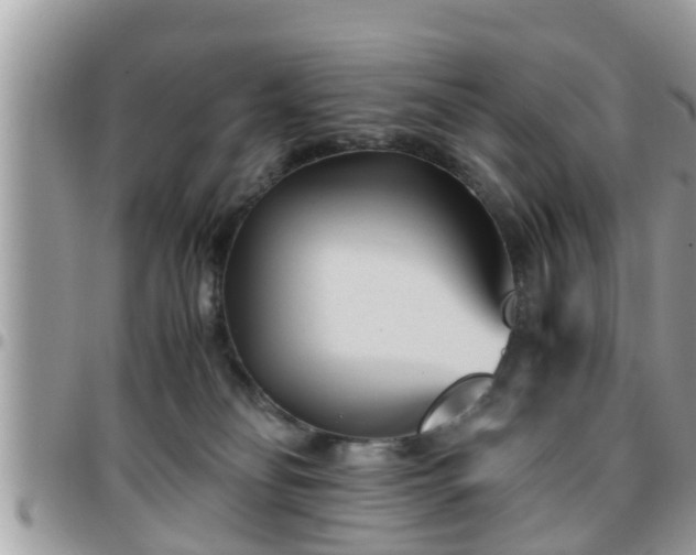 X0000095910134200801181404