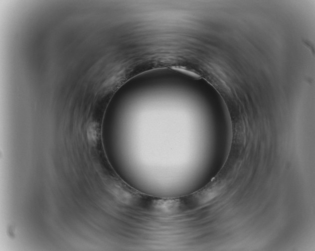 X0000095910135200801181404