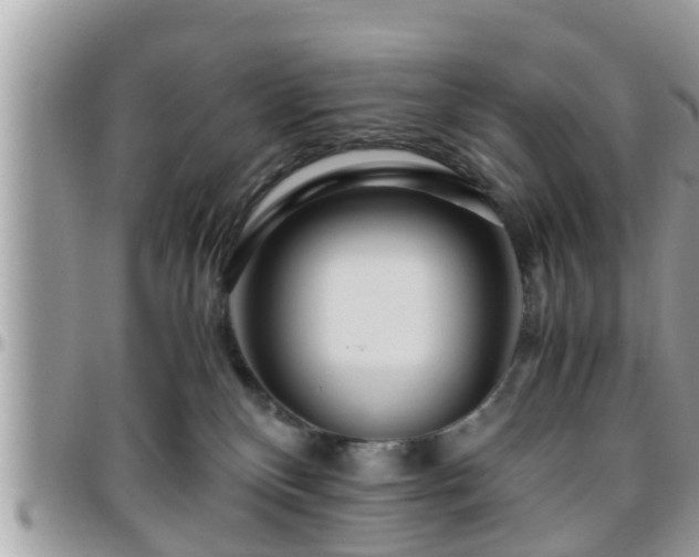 X0000095910136200801181404