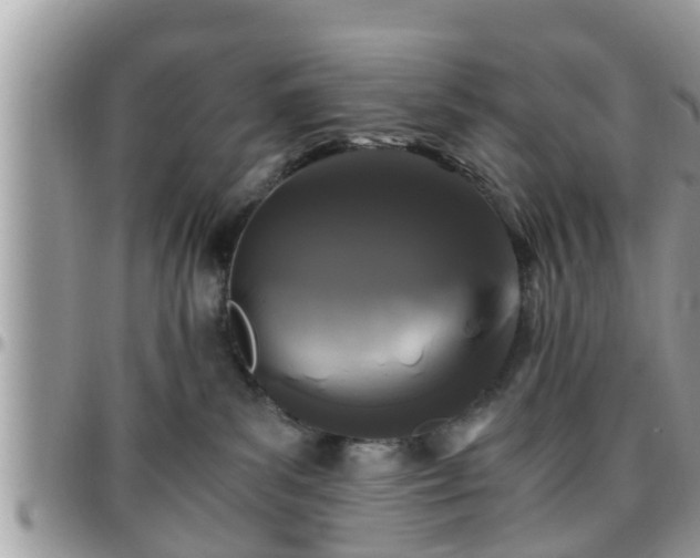 X0000095910139200801181404