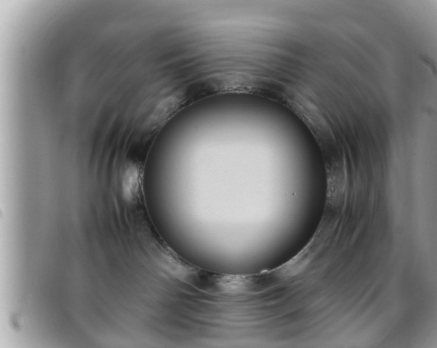 X0000095910142200801181404