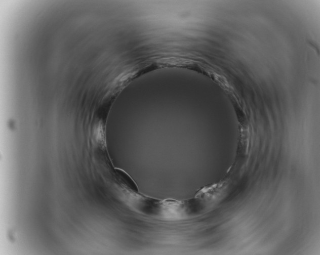 X0000095910143200801181404