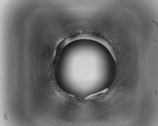 X0000095910144200801181404