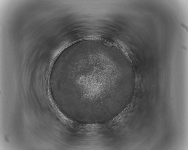 X0000095910145200801181403