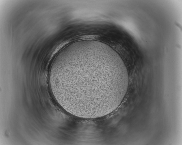 X0000095910146200801181403