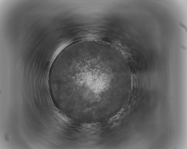 X0000095910147200801181403