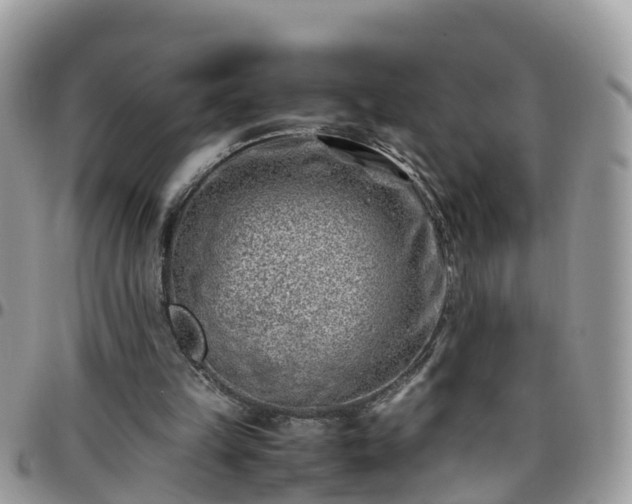 X0000095910149200801181403