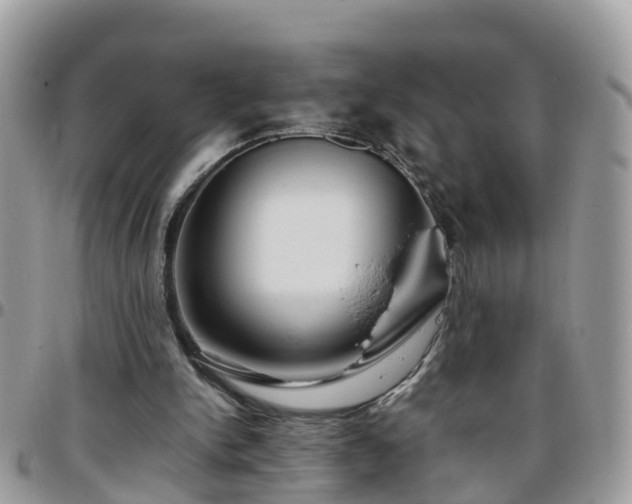 X0000095910150200801181403