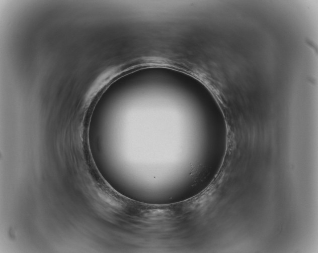 X0000095910151200801181403