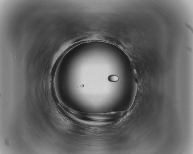 X0000095910152200801181403