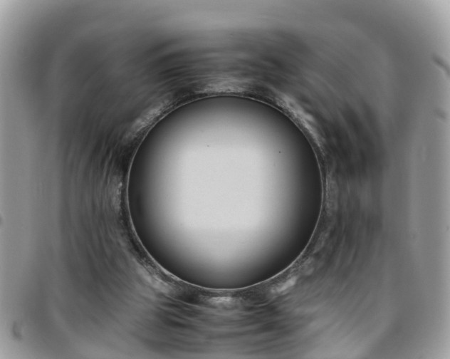 X0000095910153200801181403