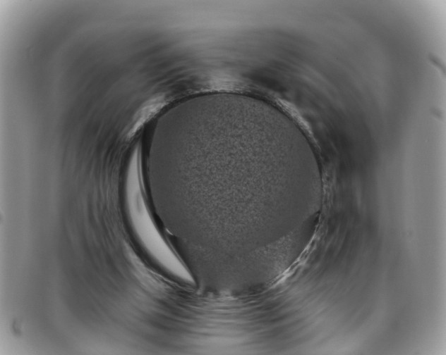 X0000095910154200801181403