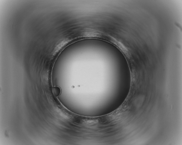 X0000095910155200801181403