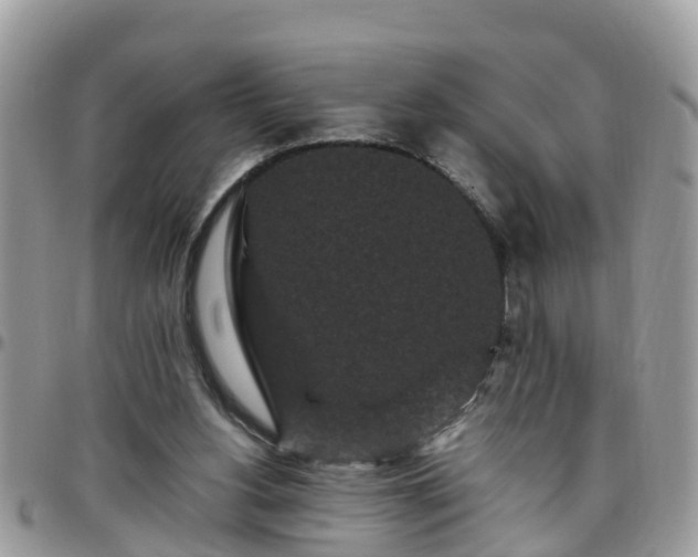 X0000095910156200801181403