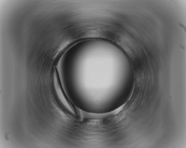 X0000095910160200801181403