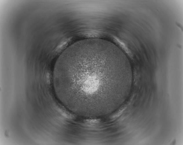 X0000095910161200801181403