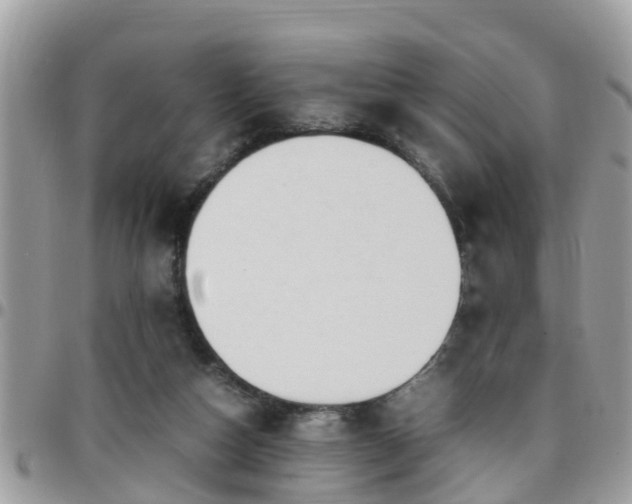 X0000095910162200801181403