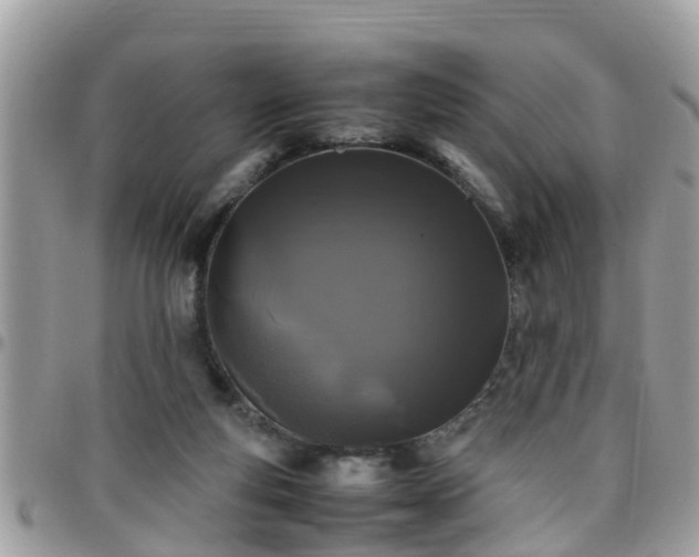 X0000095910163200801181403