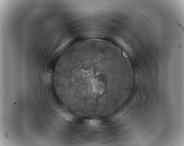 X0000095910165200801181403