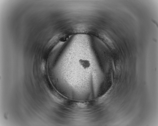 X0000095910166200801181403