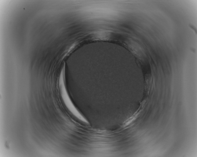 X0000095910168200801181403