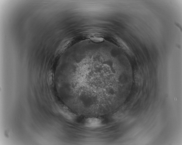 X0000095910169200801181403